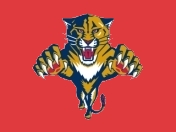 Florida Panthers Logo