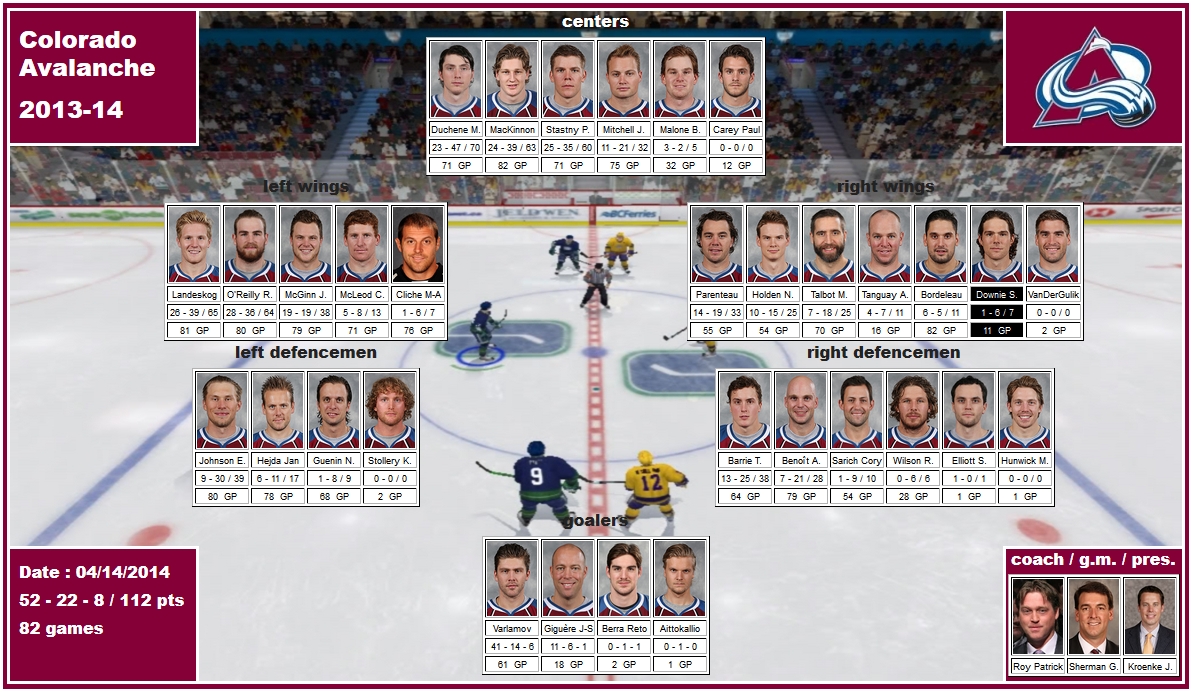 mosaic of the 2013-14 Colorado Avalanche Duchene MacKinnon Stastny McGinn Parenteau Downie Tanguay Varlamov Giguere Roy