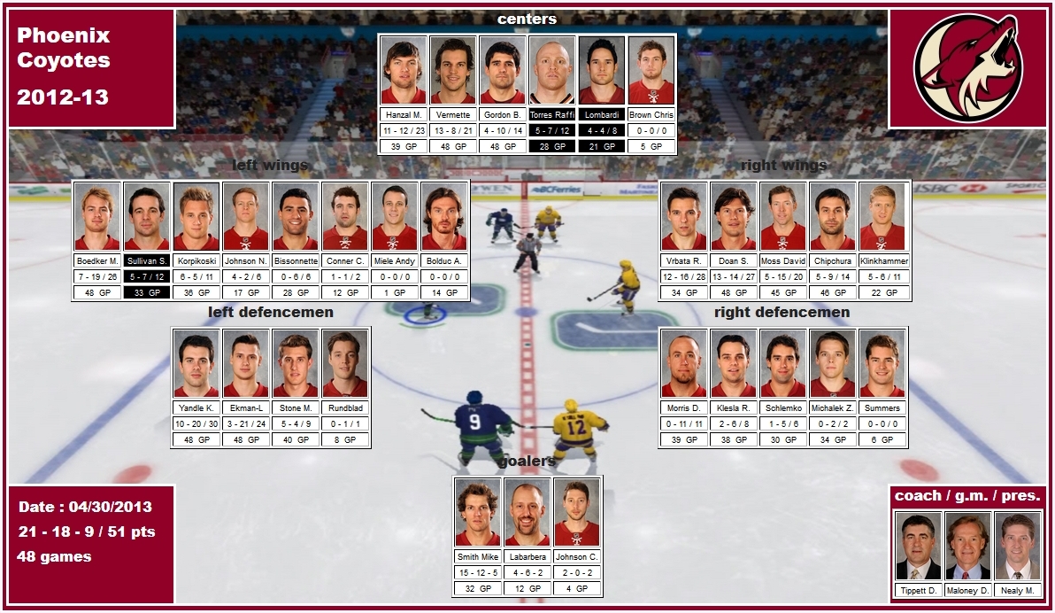 mosaic of the 2012-13 Phoenix Coyotes hanzal vermette gordon torres lombardi boedker sullivan korpikoski johnson bissonnette vrbata doan moss chipchura klinkhammer yandle ekman-larsson stone morris klesla schlemko michalek smith labarbera johnson tippett maloney