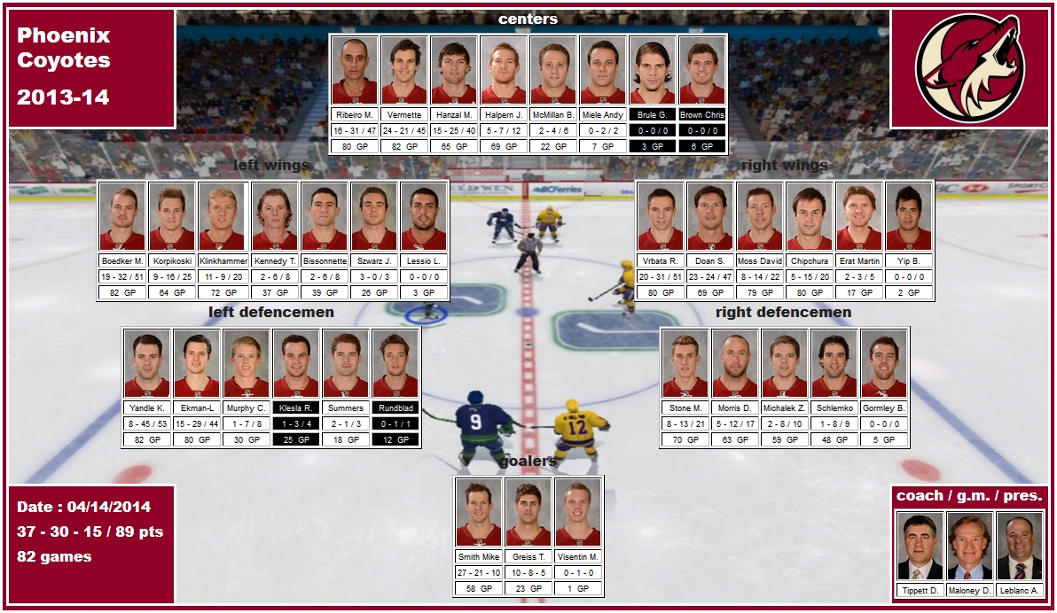 mosaic of the 2013-14 Phoenix Coyotes hanzal vermette ribeiro kennedy boedker klinkhammer bissonnette korpikoski lessio vrbata doan chipchura moss ekman-larsson yandle klesla morris michalek stone schlemko smith greiss tippett maloney