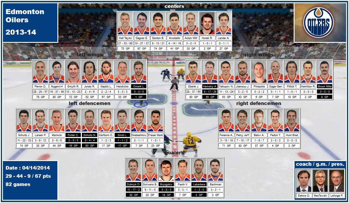 mosaic of the 2013-14 Edmonton Oilers hall arcobello gordon acton smyth perron nugent-hopkins joensuu gazdic eberle hemsky yakupov schultz smid ference petry belov labarbera dubnyk eakins mactavish