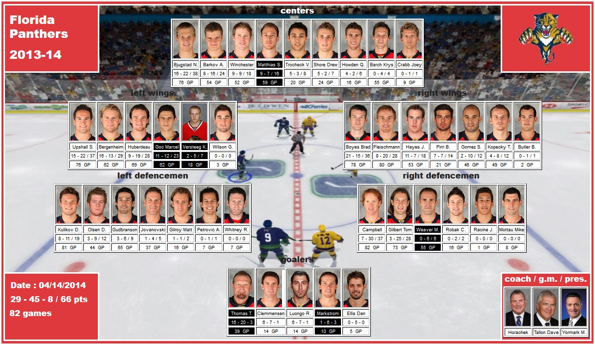 mosaic of the 2013-14 Florida Panthers barkov matthias huberdeau versteeg goc upshall fleischmann boyes gomez gilroy kulikov gudbranson campbell gilbert weaver markstrom thomas dineen tallon